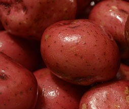 Red Potatoes