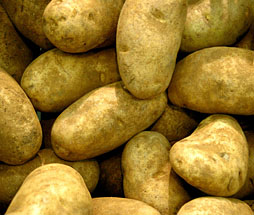 Russet Potatoes