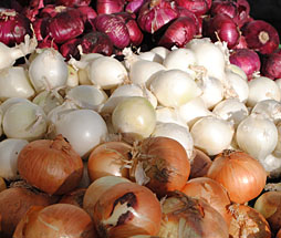 Onions