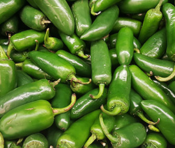 Jalapeno Peppers