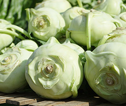 Kohlrabi