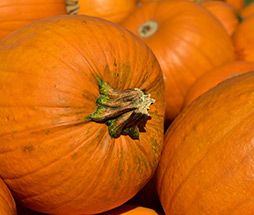 Pumpkins