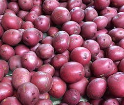Creamer Potatoes
