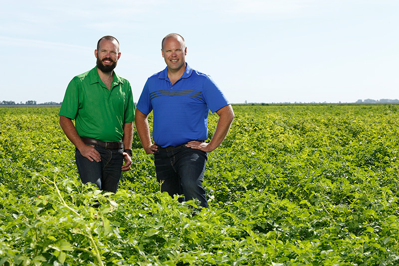 Southern Potato Company