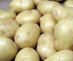 White Potatoes