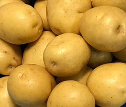 Yellow Potatoes