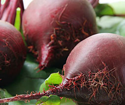 Beets