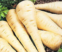 Parsnips