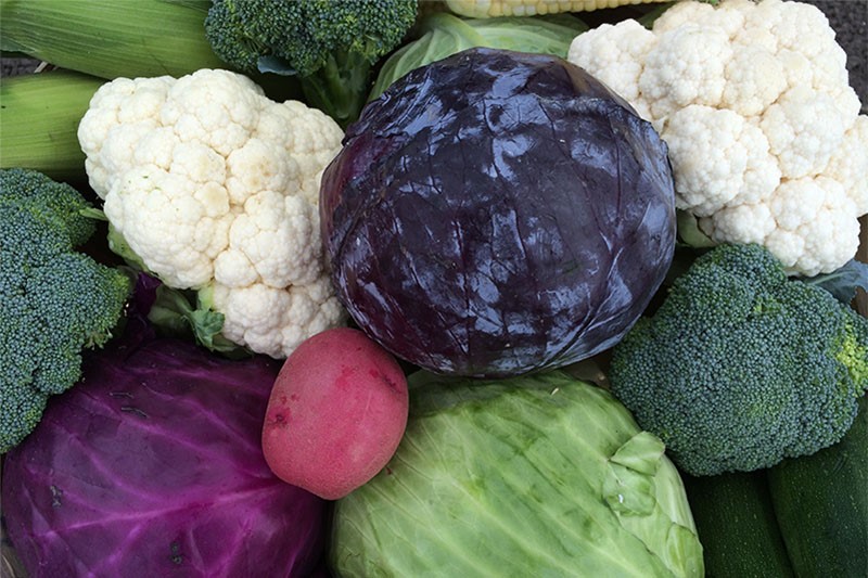 Peak of the Market donated more than 1.6M pounds of produce to Canadian food banks in 2025 